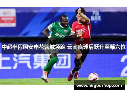 中超半程国安申花蓉城领跑 云南赢球后跃升至第六位