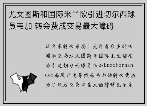 尤文图斯和国际米兰欲引进切尔西球员韦加 转会费成交易最大障碍