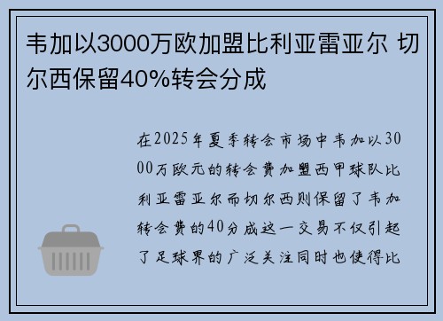 韦加以3000万欧加盟比利亚雷亚尔 切尔西保留40%转会分成